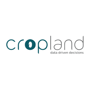 Jigso When Employees Thrive Organisations Triumph